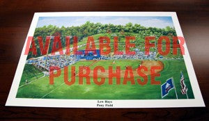 Lew Hays Field Numbered Print